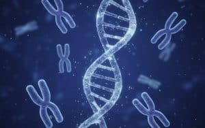Wie viele Chromosomen hat ein Mensch?